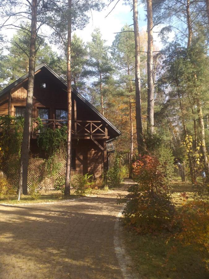 Willa Lesna Ostoja Nad Pilica Lechanice Zewnętrze zdjęcie
