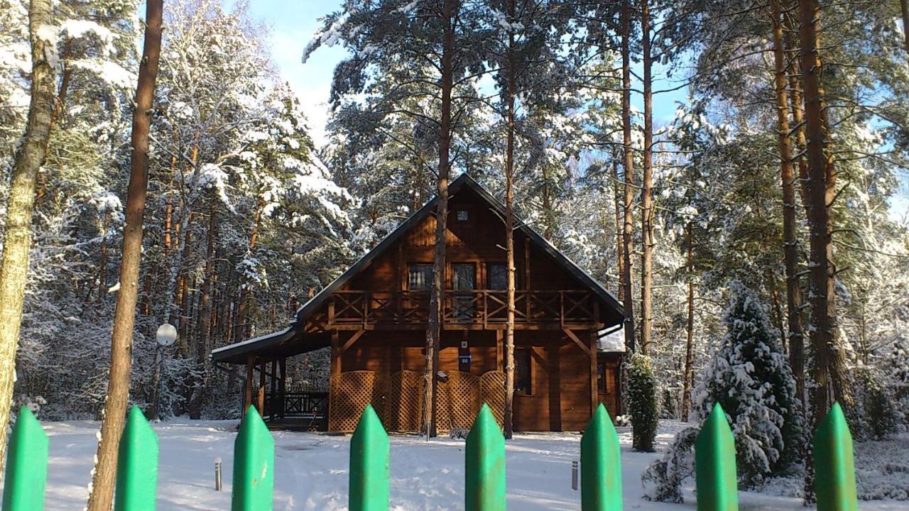 Willa Lesna Ostoja Nad Pilica Lechanice Zewnętrze zdjęcie
