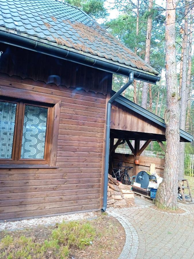 Willa Lesna Ostoja Nad Pilica Lechanice Zewnętrze zdjęcie