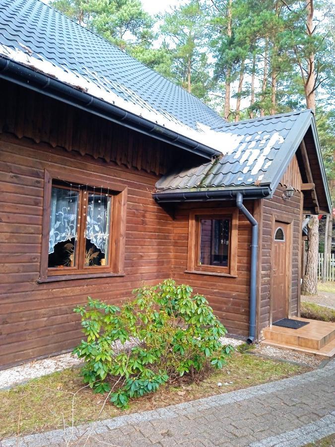 Willa Lesna Ostoja Nad Pilica Lechanice Zewnętrze zdjęcie