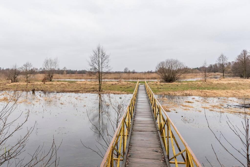 Willa Lesna Ostoja Nad Pilica Lechanice Zewnętrze zdjęcie